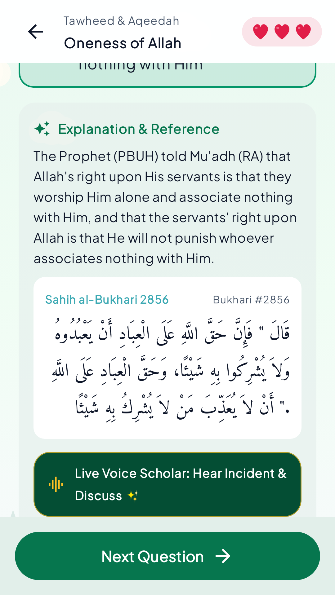 04 Quran Evidences